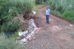 bridge1.1